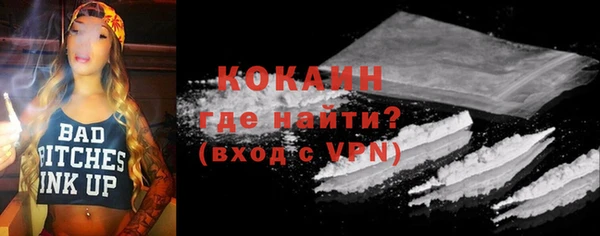 спиды Новозыбков