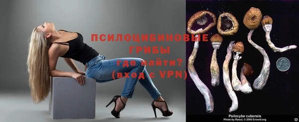 спиды Новозыбков