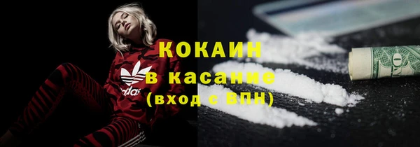 спиды Новозыбков