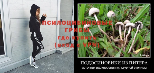 спиды Новозыбков