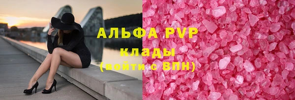 спиды Новозыбков
