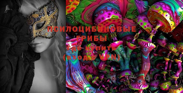 спиды Новозыбков