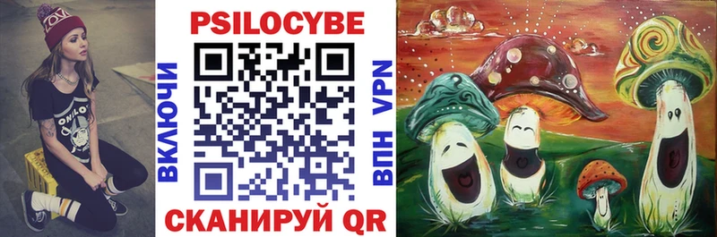 Галлюциногенные грибы GOLDEN TEACHER  Купить где  Кола 